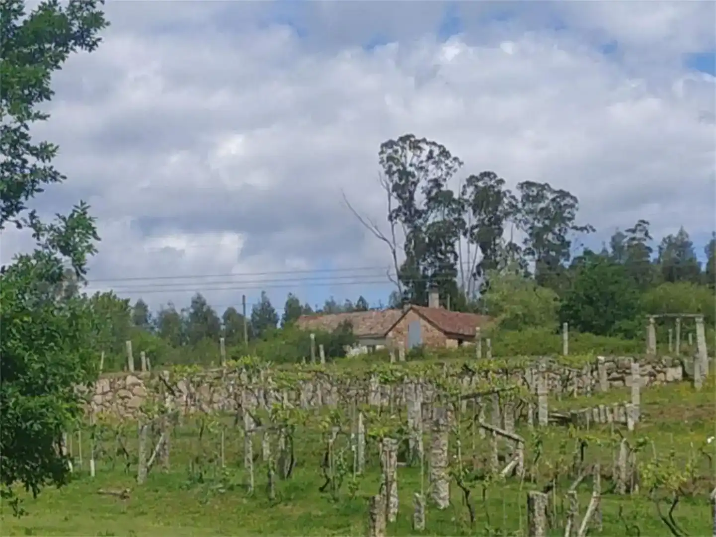 Pis en venda en Salvaterra de Miño