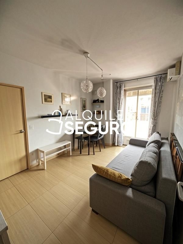 Living room of Flat to rent in  Madrid Capital  with Air Conditioner, Heating and Terrace