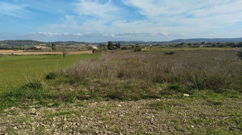 Photo 2 of Land for sale in Algaida, Illes Balears
