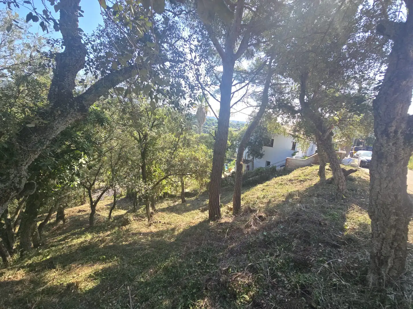 Lands and plots for sale in Olivera, imagen 3