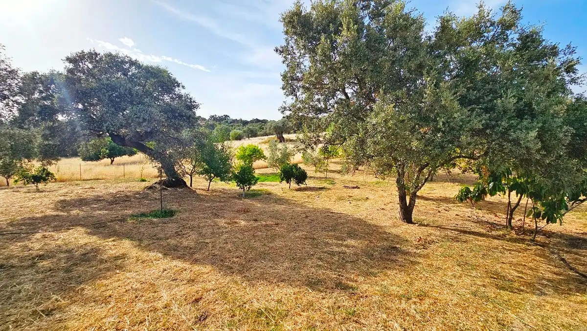 Casa o chalet en venta en El Castillo de las Guardas con Aire acondicionado, Jardín privado y Terraza