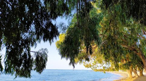 Foto 5 de Pis de lloguer a Platja de Torres, Villajoyosa / La Vila Joiosa