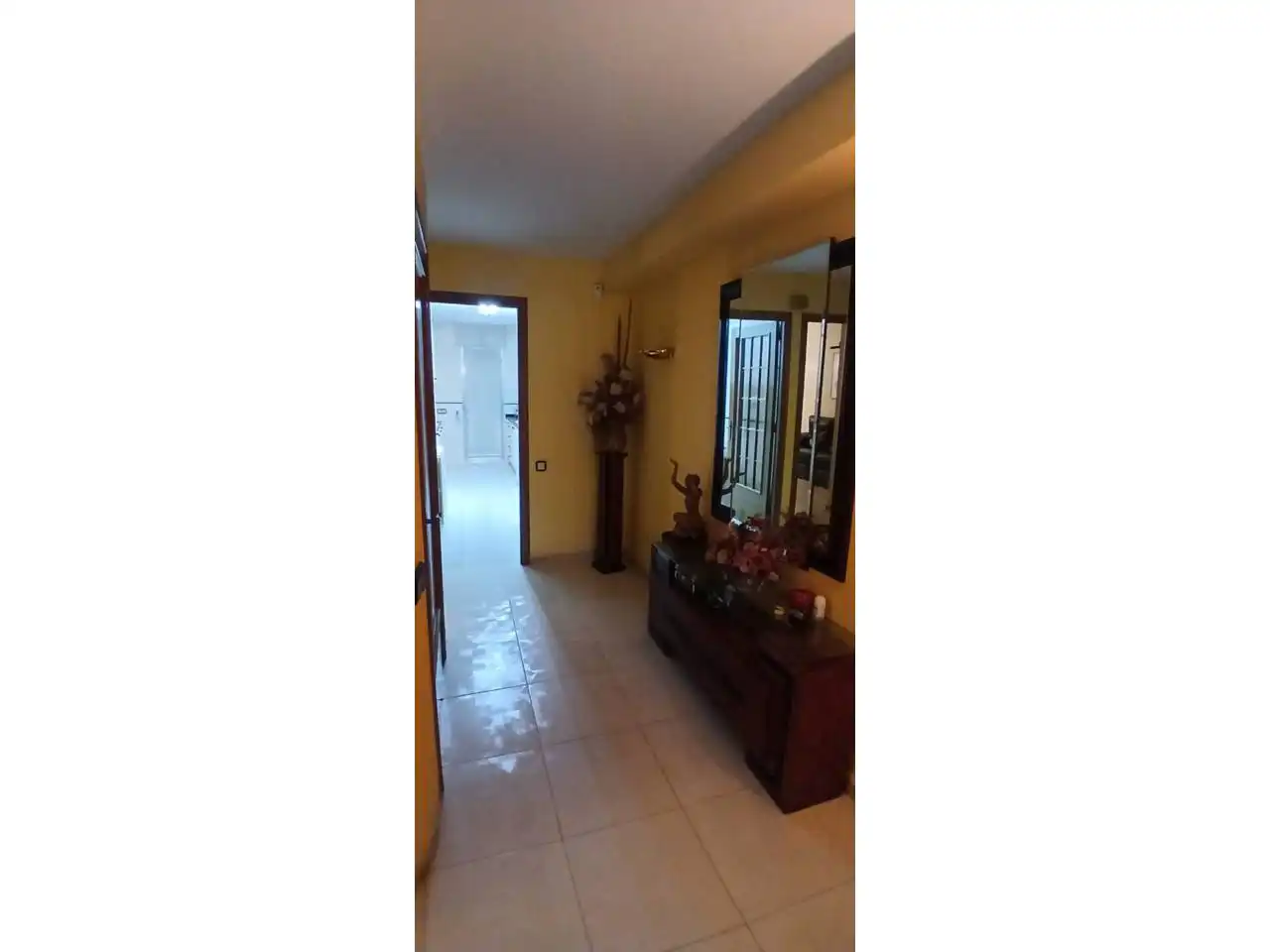 Houses for sale in Avenida Abad Marcet, Zona Esportiva