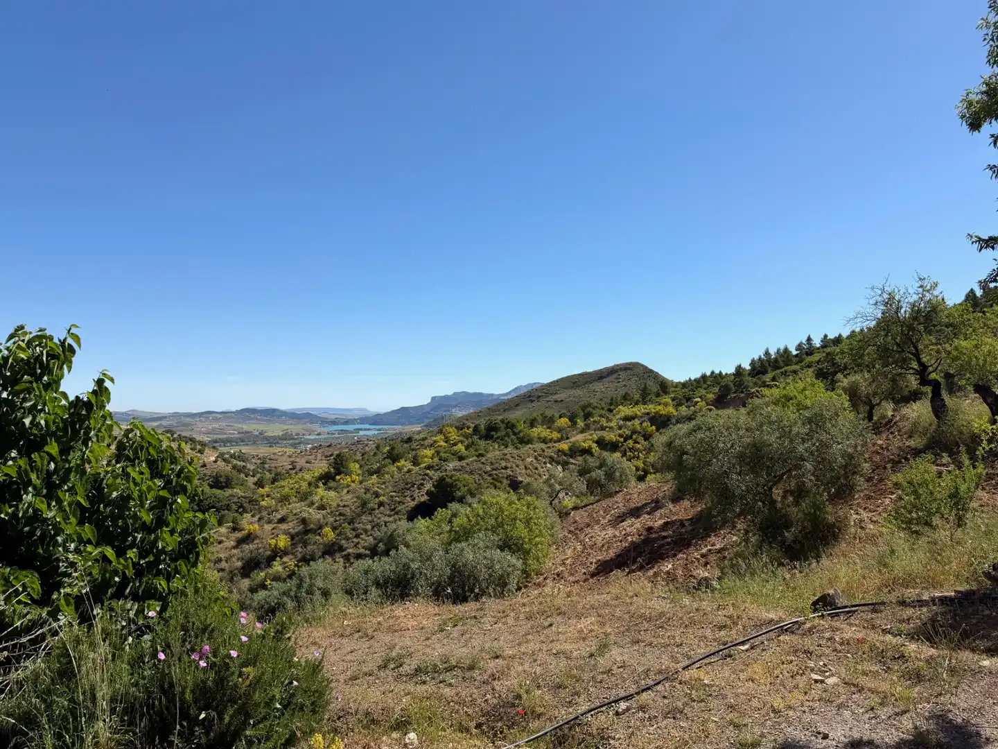 Finca rústica en venta en Ardales con Jardín privado, Terraza y Piscina