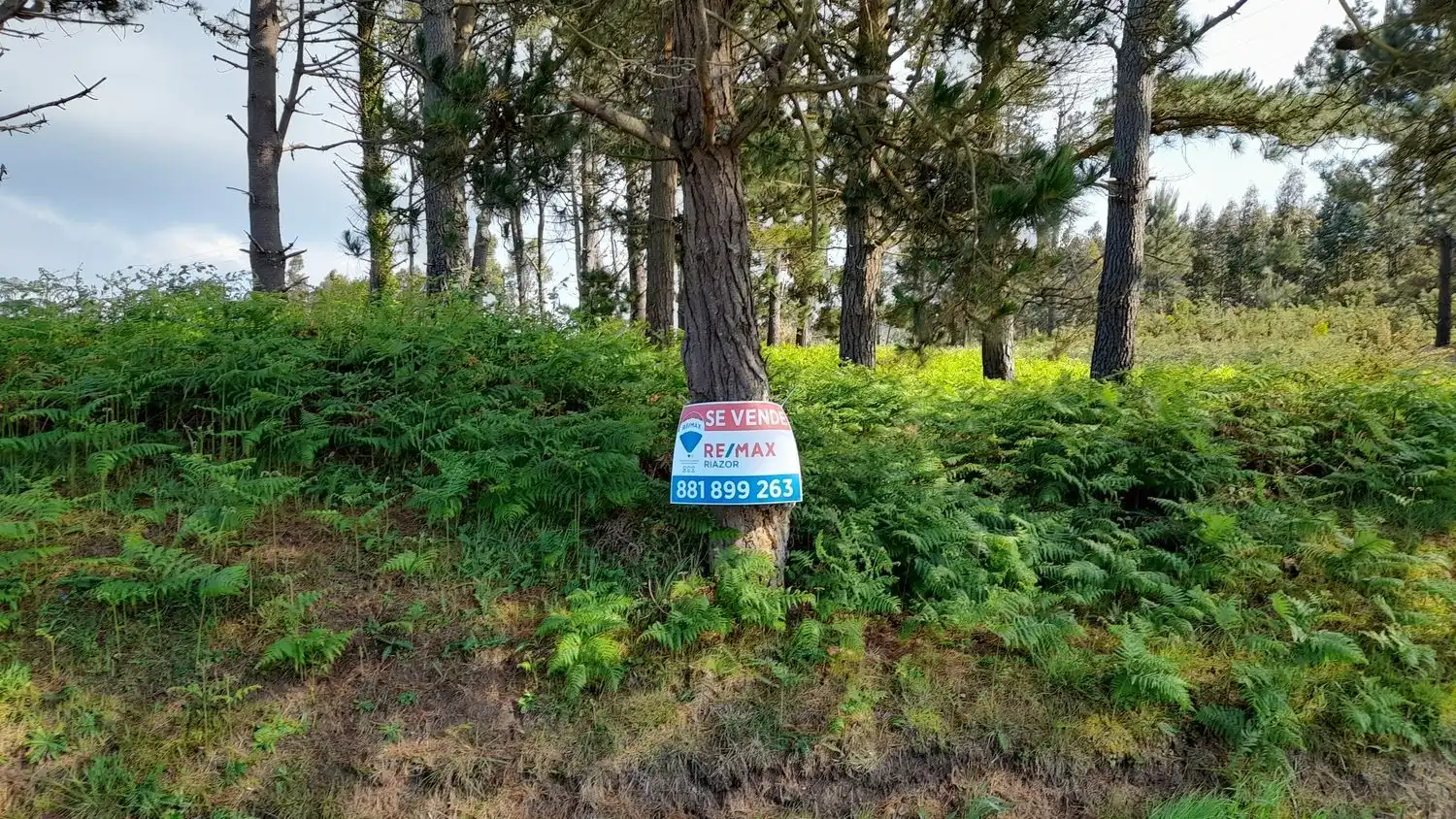 Rural land for sale in Lugar Val Arriba 3, imagen 24