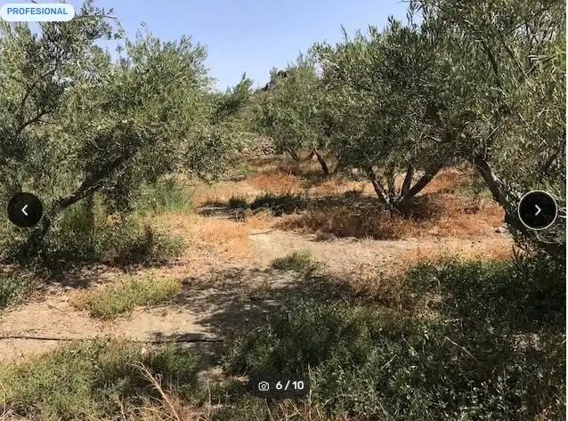 Grundstücke zum Verkauf in Alicún
