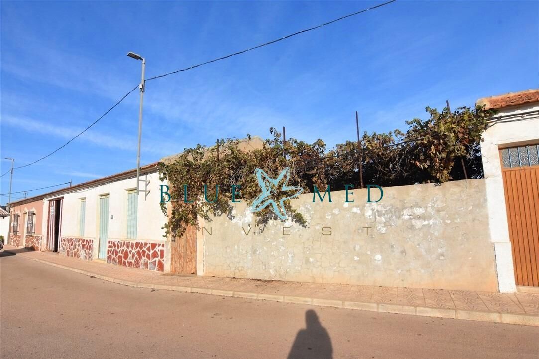 Exterior view of House or chalet for sale in Fuente Álamo de Murcia  with Heating, Private garden and Terrace