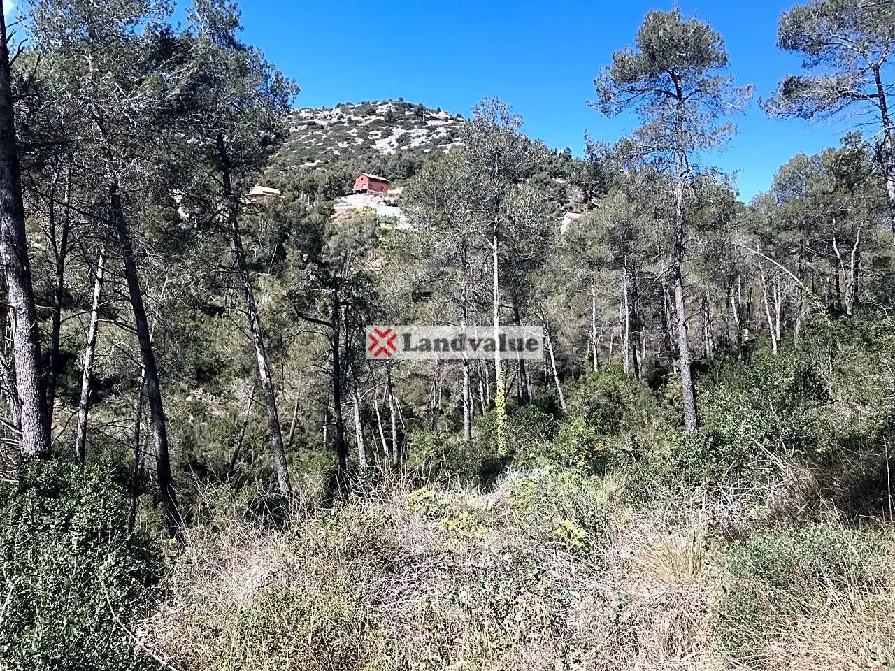 Terrenys i solars en venda a OBAGUES 3 URB DEL PELAG, imagen 13