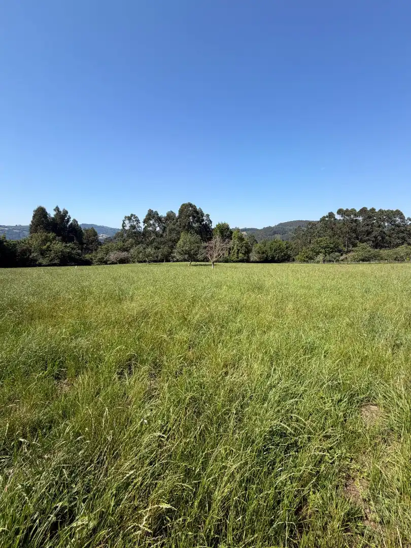 Residencial en venta en Colunga