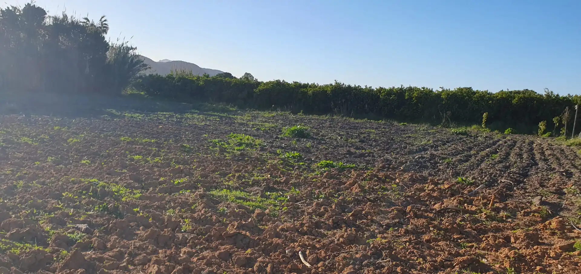 Country homes for sale in Tavernes de la Valldigna