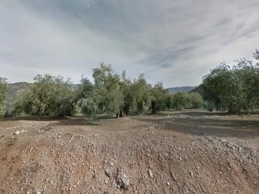 Lands and plots for sale in DISEMINADO PEGALAJAR, imagen 4