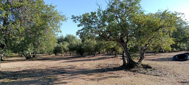 Terreno en Venta en Poble