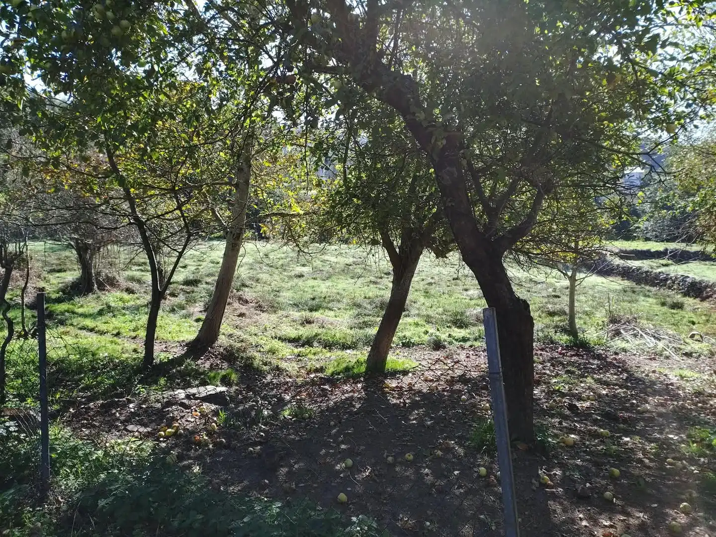 Country house for sale in Lugar Xinzo da Costa, imagen 22