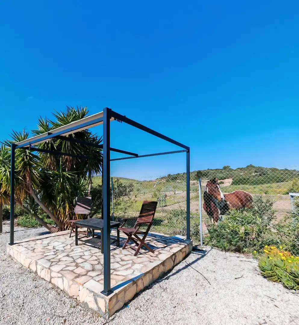 Terraza de Casa o chalet en venta en Medina Sidonia con Jardín privado, Piscina y Amueblado