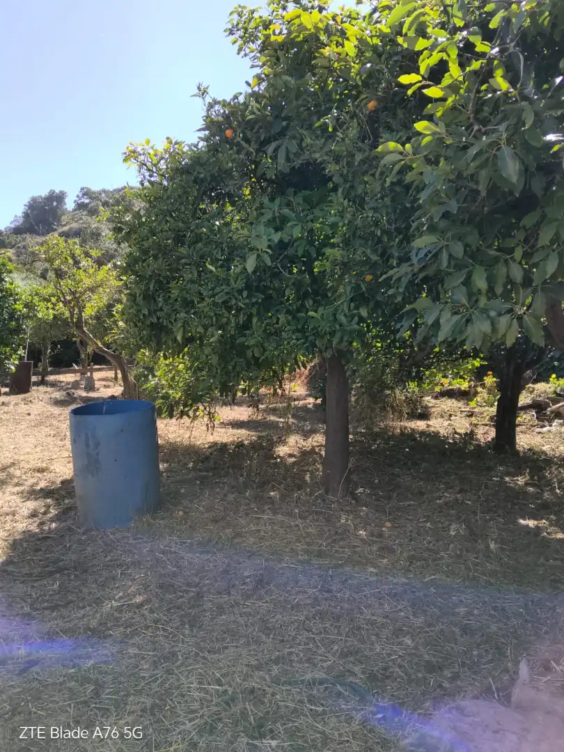 Finca rústica en venda en Santa Brígida
