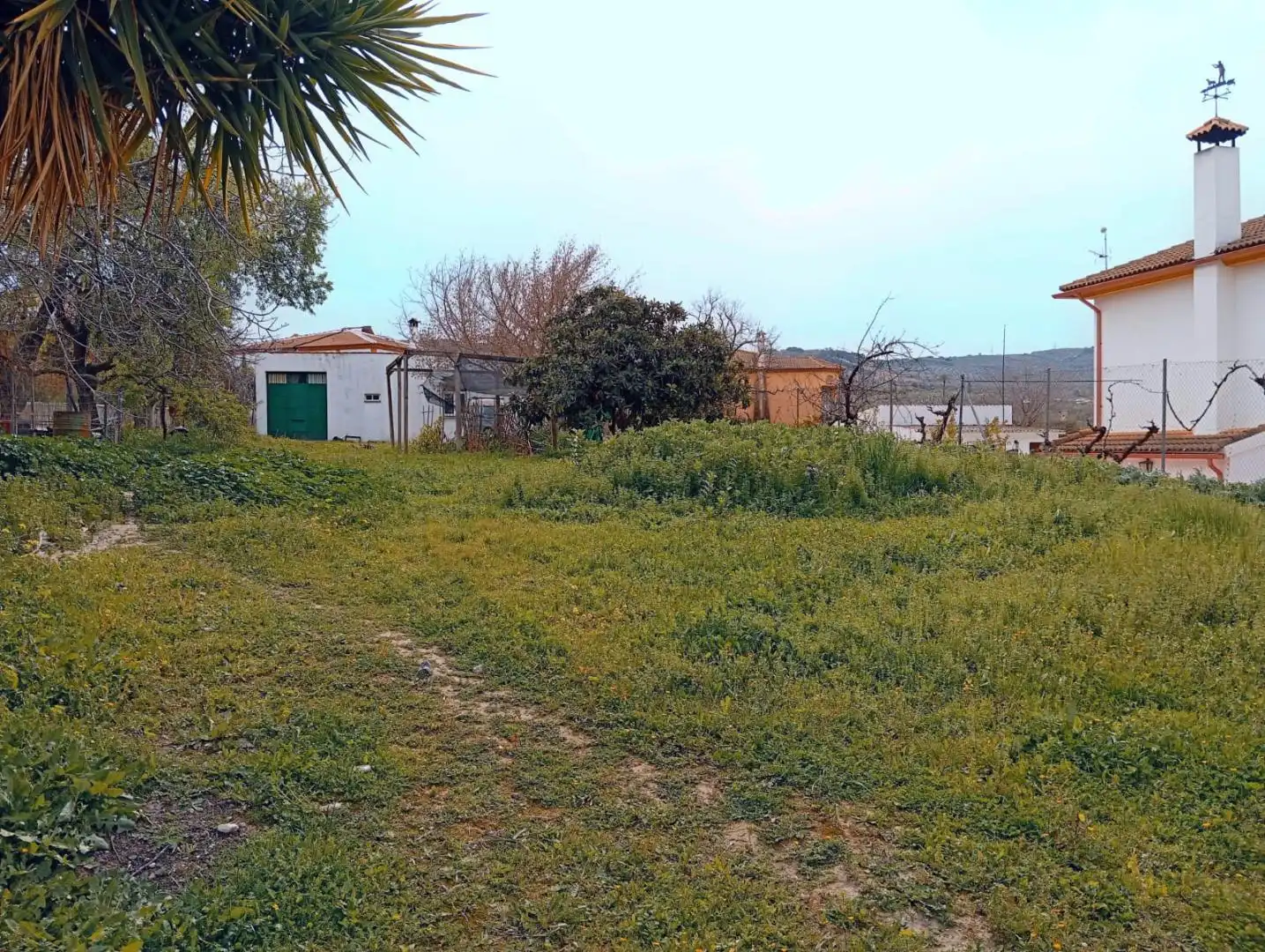 Terrain rustique à vendre à Centro, imagen 4