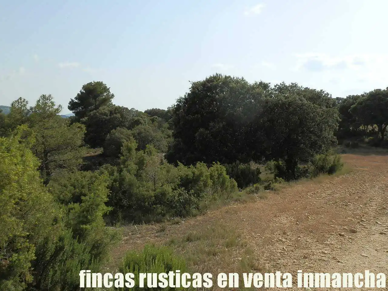Terreno rustico in vendita a Caravaca de la Cruz, imagen 13