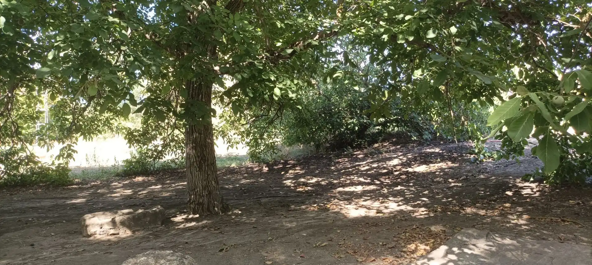 Casa rústica amb piscina en venda a Partidas Norte, imagen 26