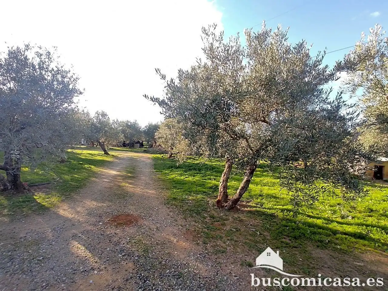 Casa amb jardí en venda a San Roque - La Cruz - La Rozuela, imagen 36