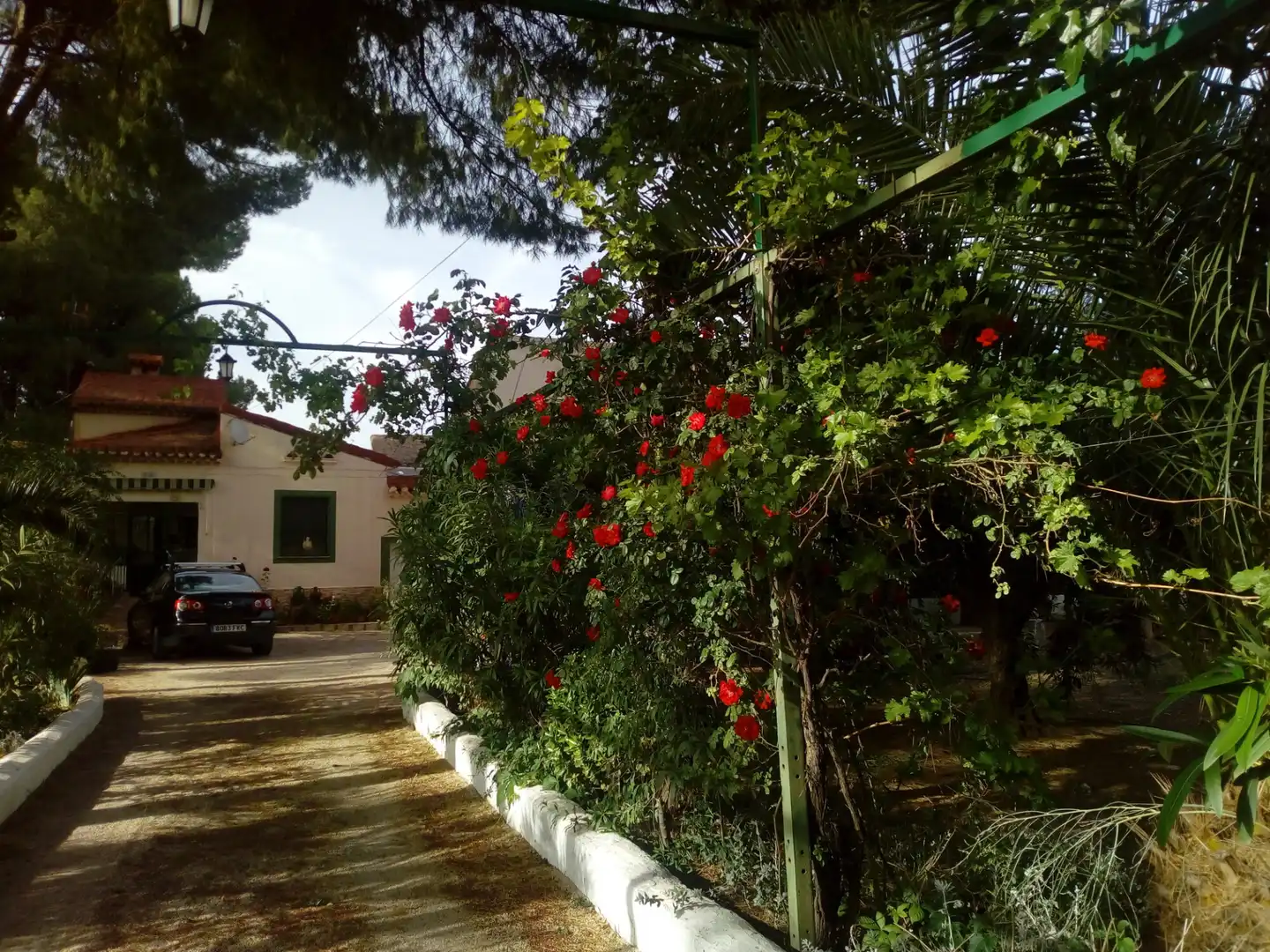 Casa rústica amb jardí en venda a Hellín, imagen 17