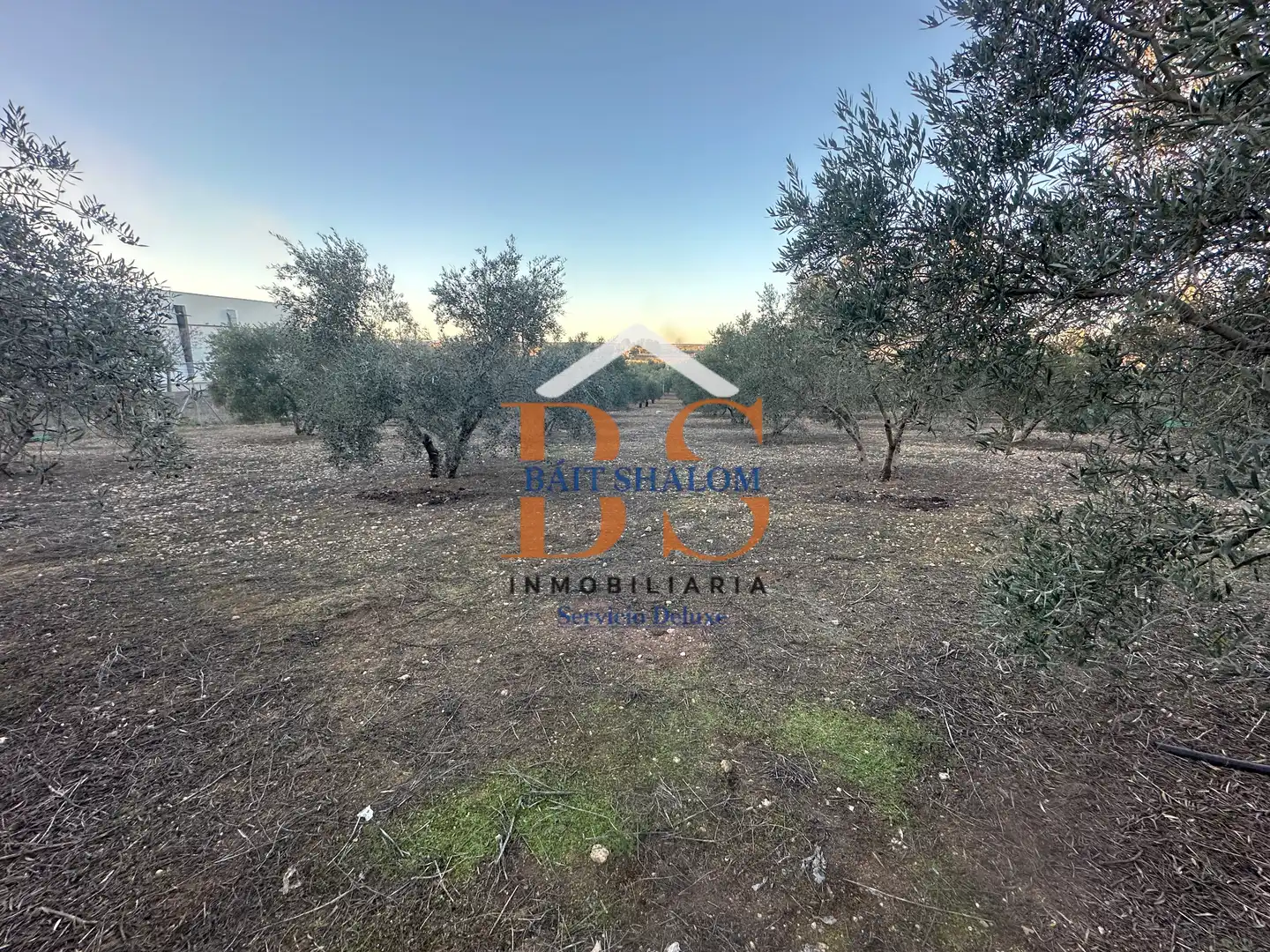 Rural land for sale in Mollina, imagen 9