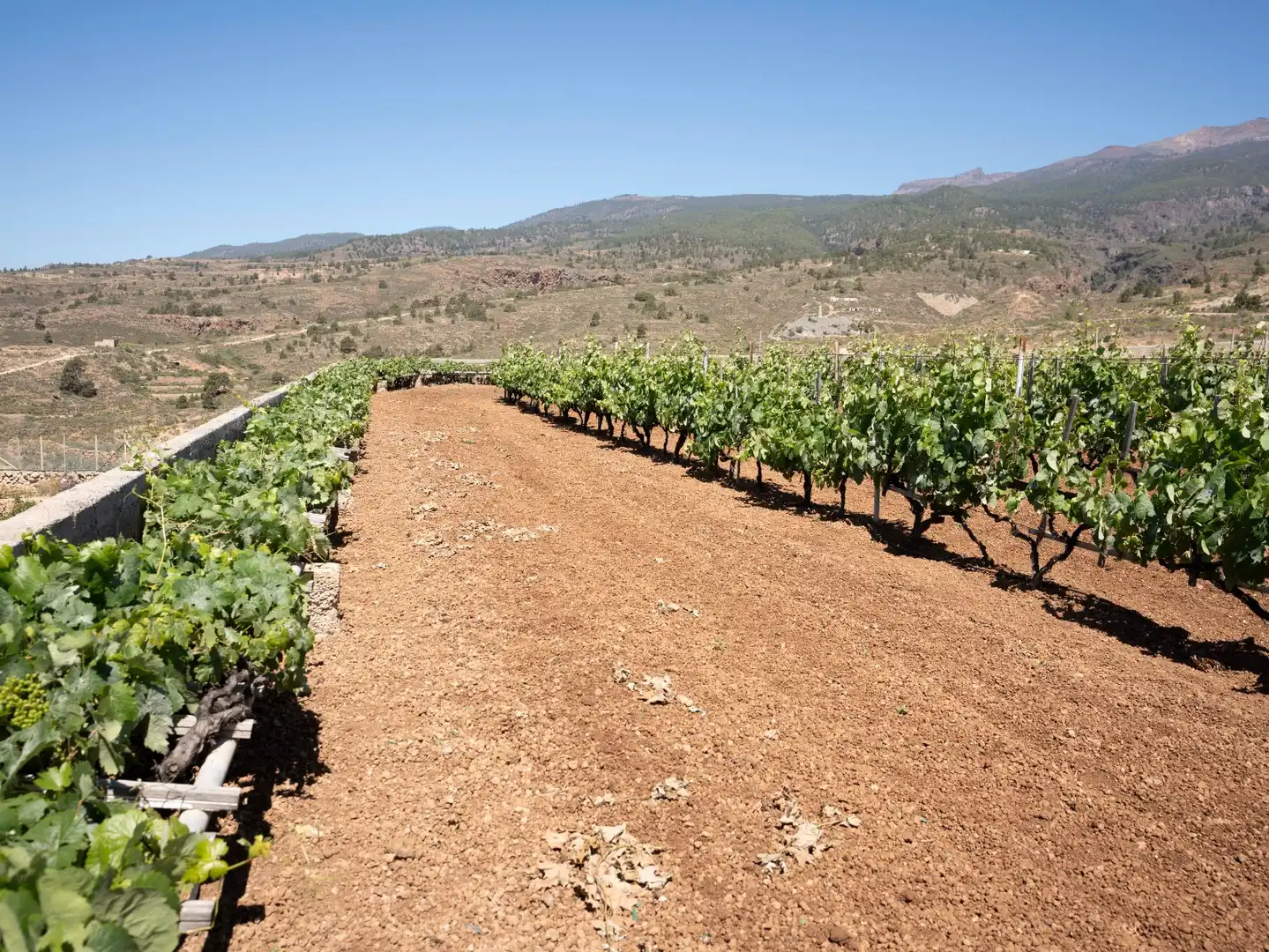Terreno rustico in vendita a N/A, imagen 23