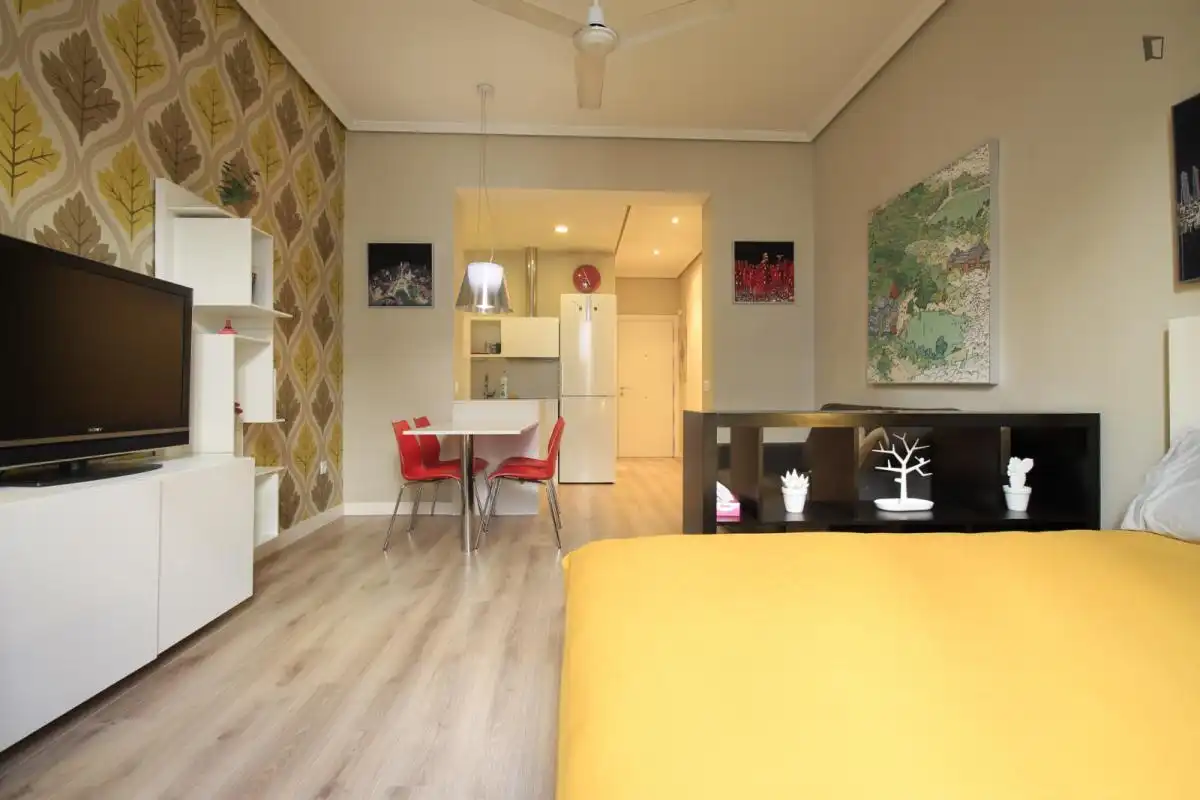 Estudio en alquiler en Centro, imagen 7