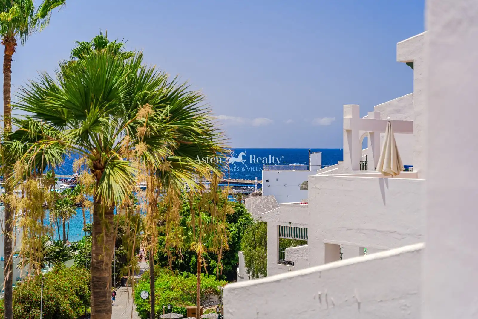 Exterior view of Study for sale in Adeje  with Terrace, Swimming Pool and Furnished