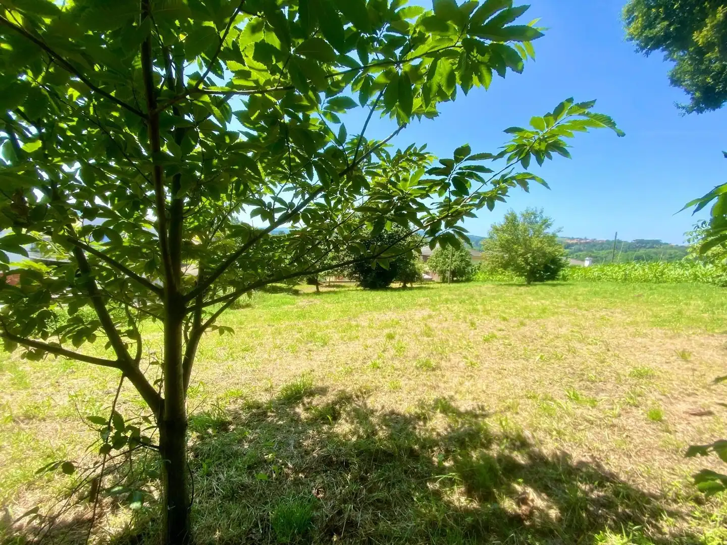 Terreny residencial en venda a Reocín, imagen 13
