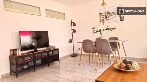 Photo 4 of Apartment to share in Son Armadans, Illes Balears