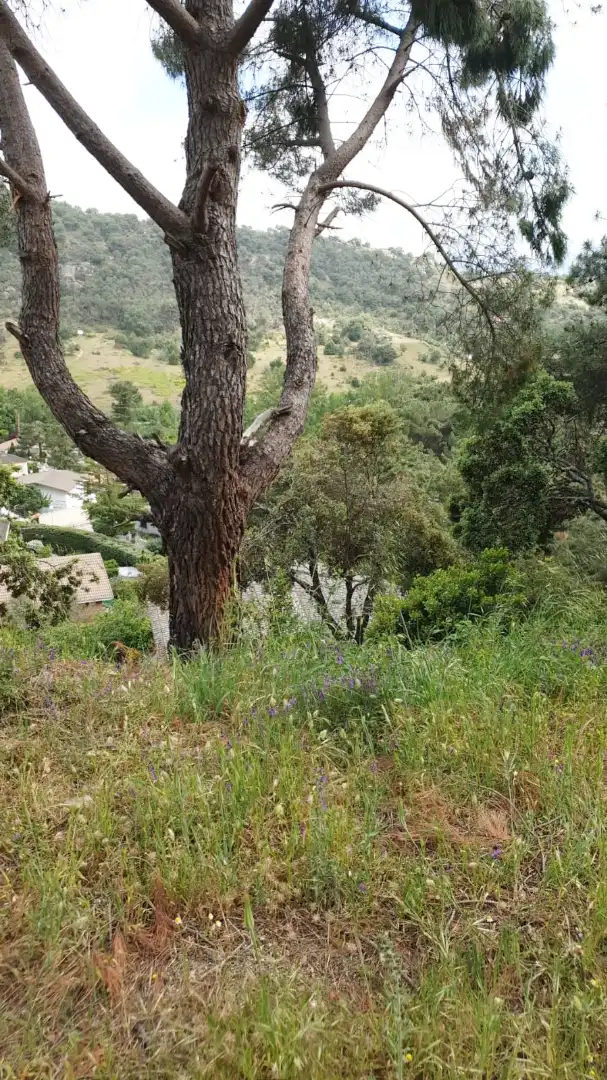 Residential land for sale in Calle Fuente la Peluquera 358, imagen 2