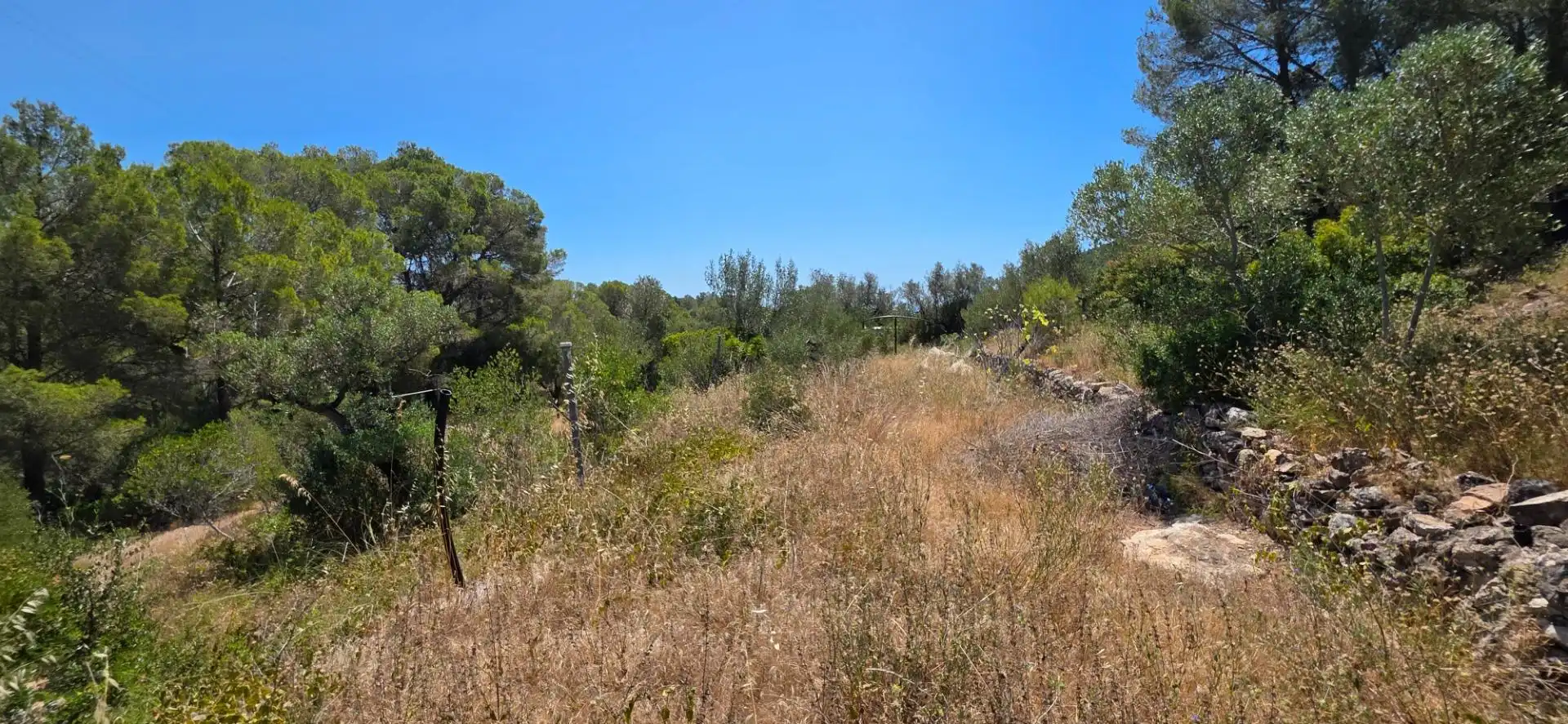 Finca rústica en venta en Vilanova d'Escornalbou con Terraza