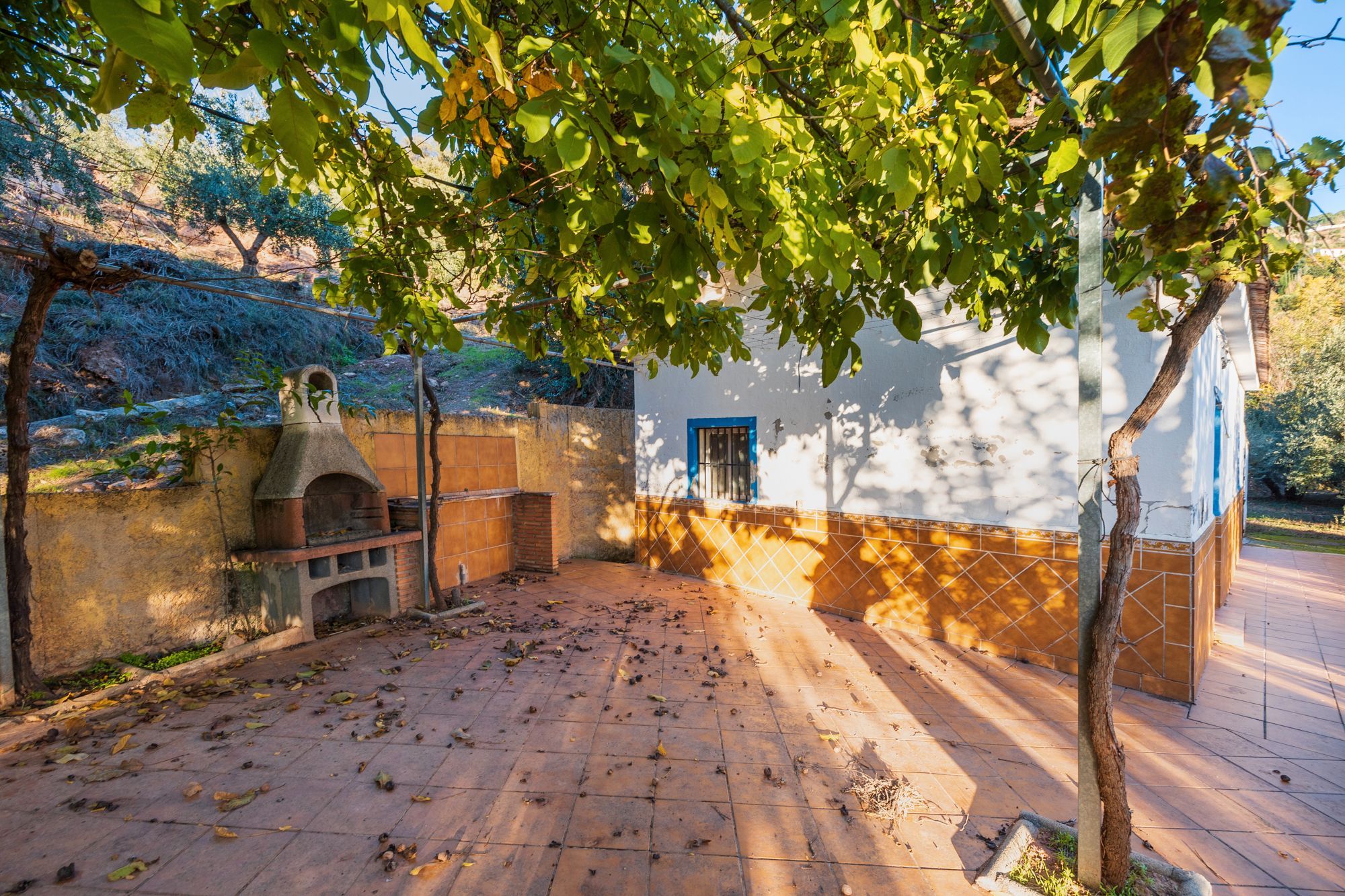 Jardí de Casa o xalet en venda en Cogollos de la Vega