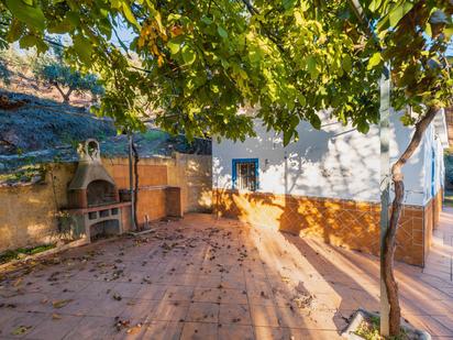 Jardí de Casa o xalet en venda en Cogollos de la Vega