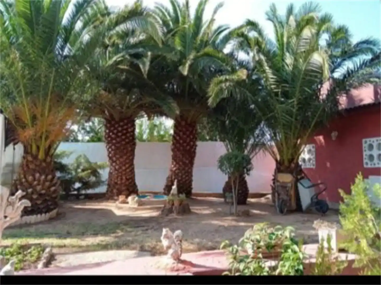 Jardí de Finca rústica en venda en Plasencia de Jalón amb Piscina i Balcó