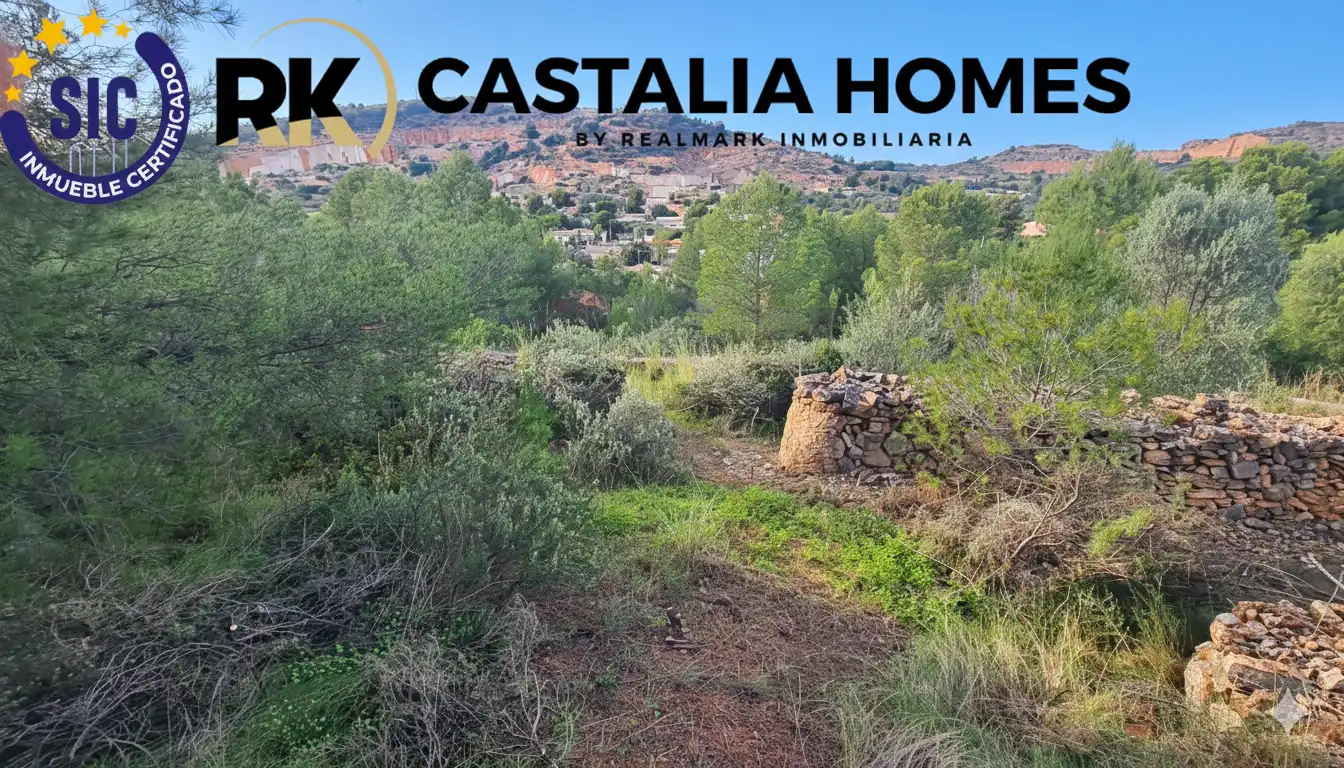 Vista exterior de Casa o chalet en venta en Borriol con Jardín privado y Piscina