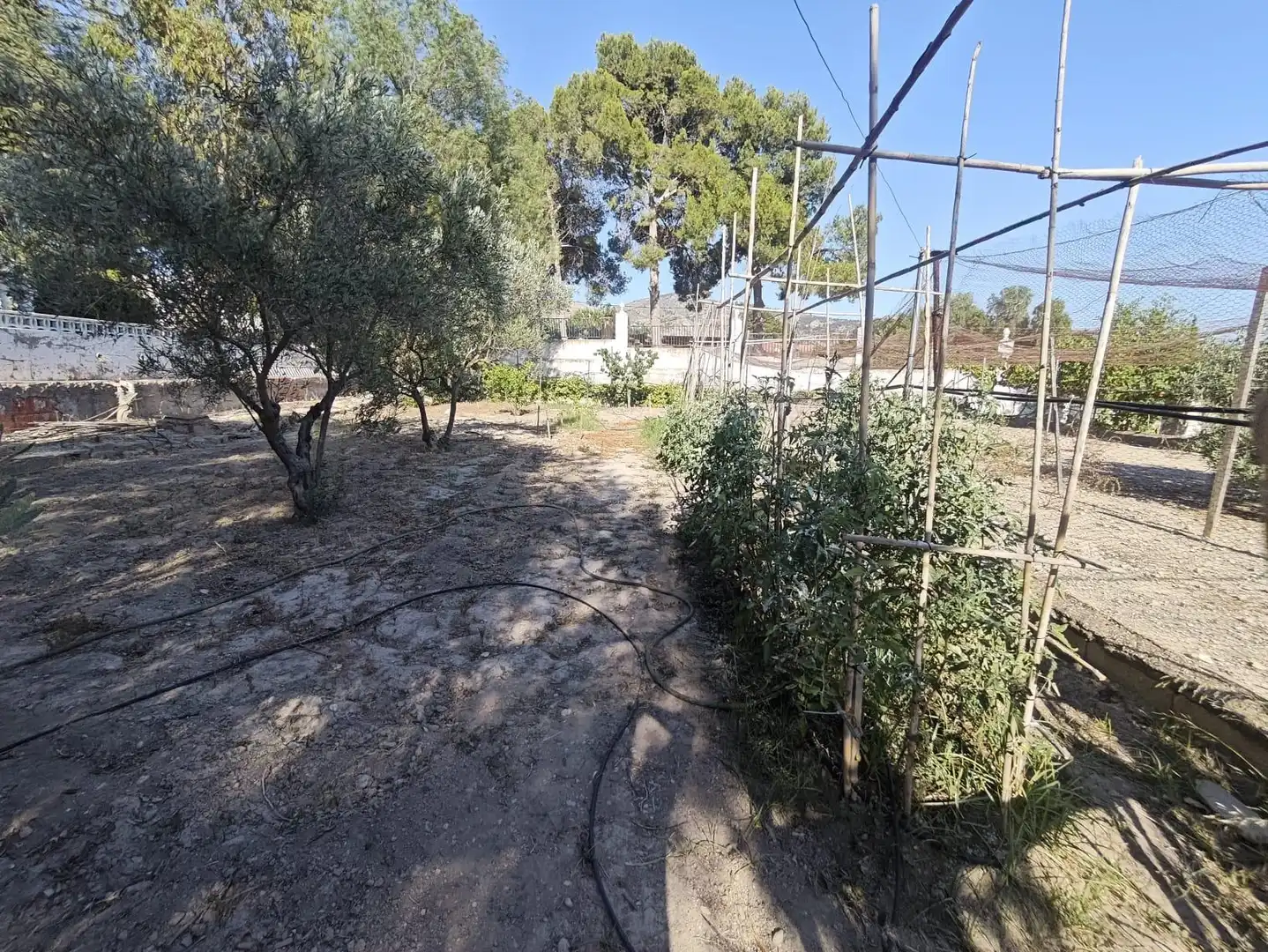 House with pool for sale in Petrer, imagen 77