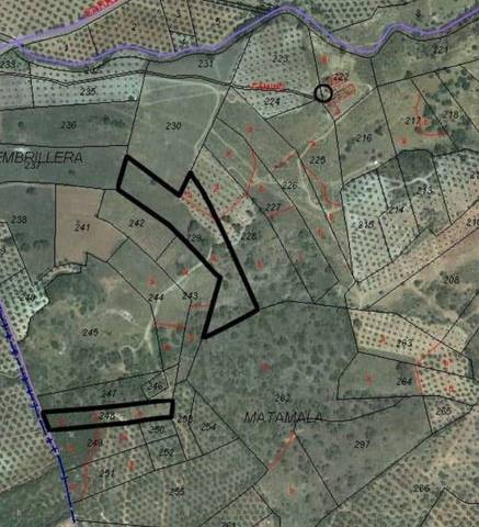 Terreno residencial en Venta en Chiclana de Segura