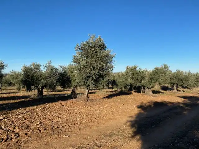 Terreno rustico in vendita a Sonseca, imagen 7