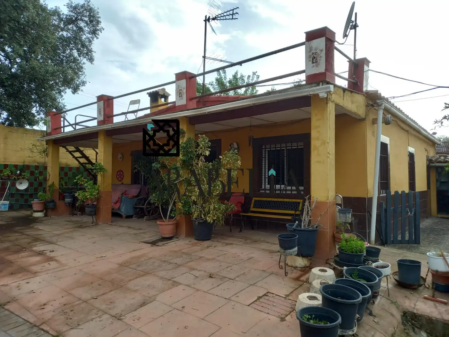 Vista exterior de Finca rústica en venta en Córdoba con Piscina comunitaria