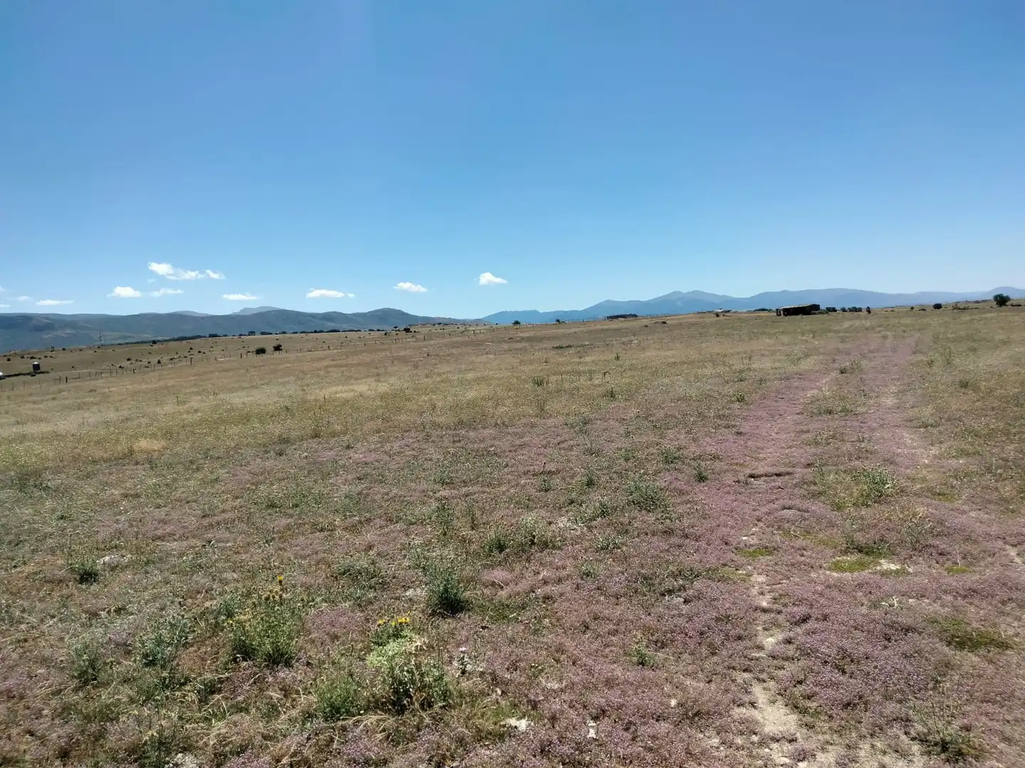 Terreno rustico in vendita a Basardilla, imagen 7