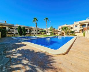 Swimming pool of Planta baja for sale in Torrevieja  with Terrace and Swimming Pool