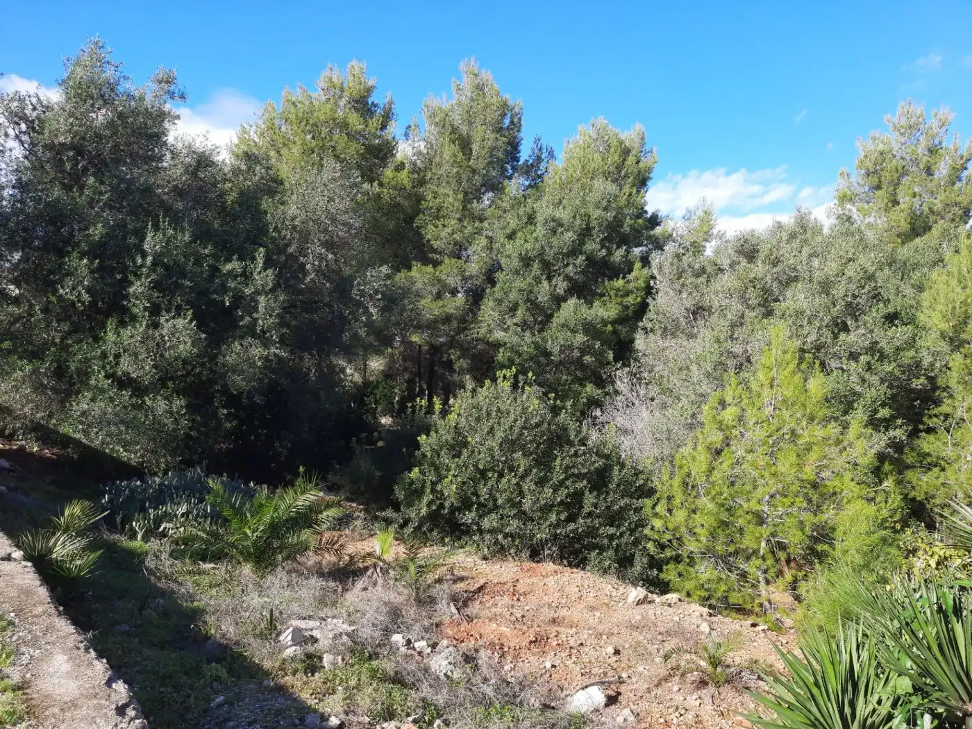 Grundstücke und Bauplätze zum Verkauf in El Montgó, imagen 16