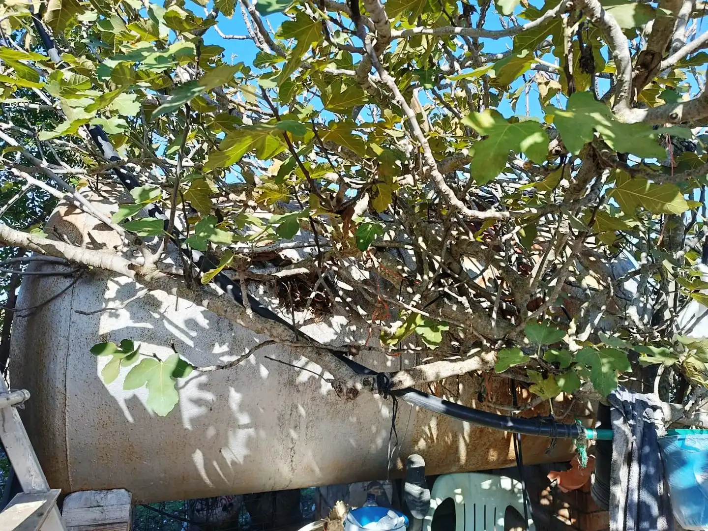 Terreni e lotti in vendita a El Juncal - Vallealto, imagen 23
