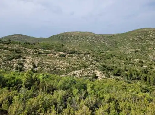 Terreny rústic en venda a Pt Los Barrancos, imagen 8