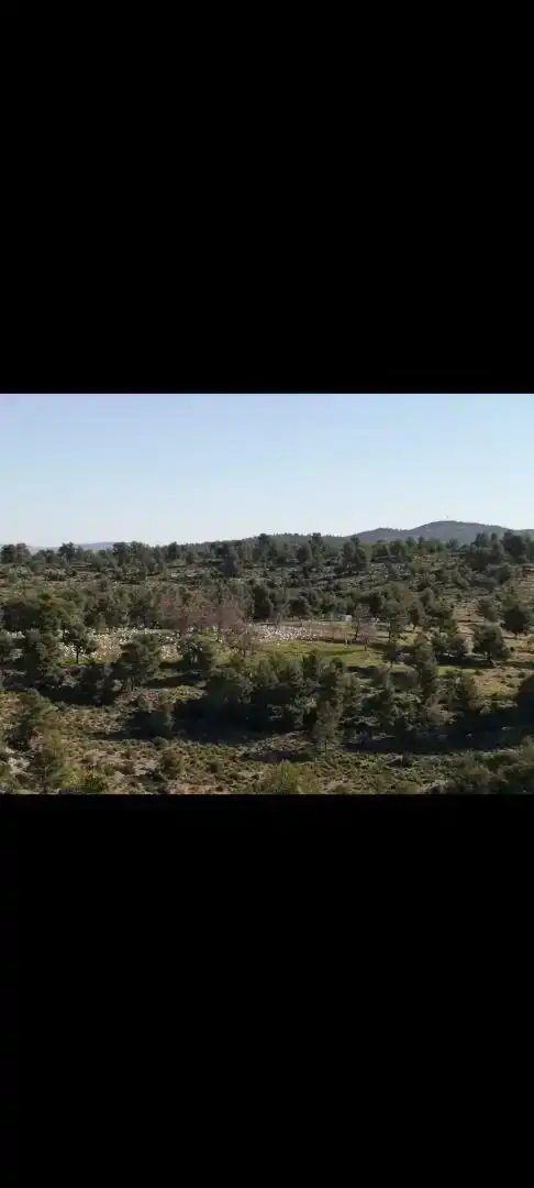 Terreno en venta en Yeste