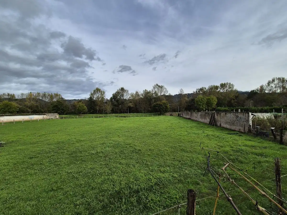 Maison à vendre à Grado, imagen 4