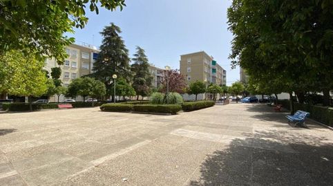 Photo 3 of Flat for rent in Madre de Dios, Jerez de la Frontera