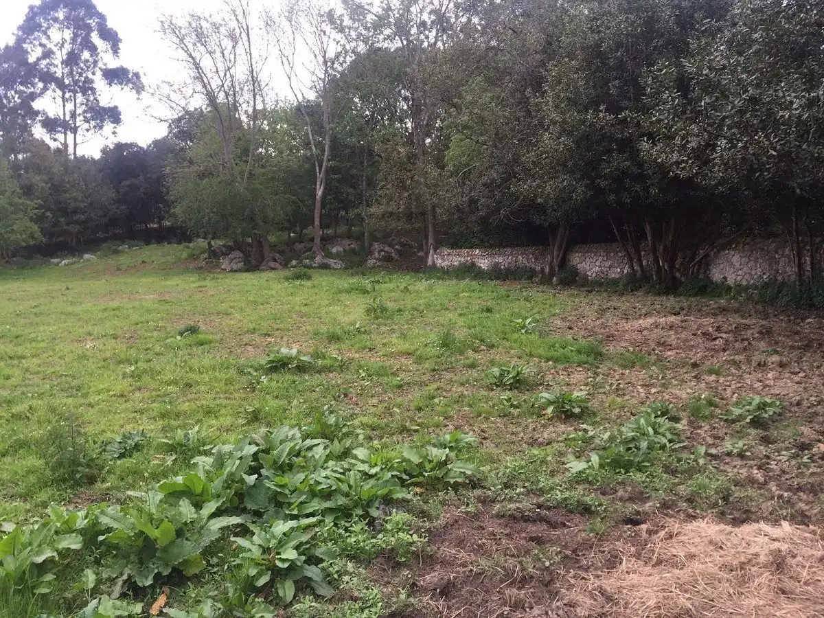Terreno residencial en venta en Bricia, imagen 2