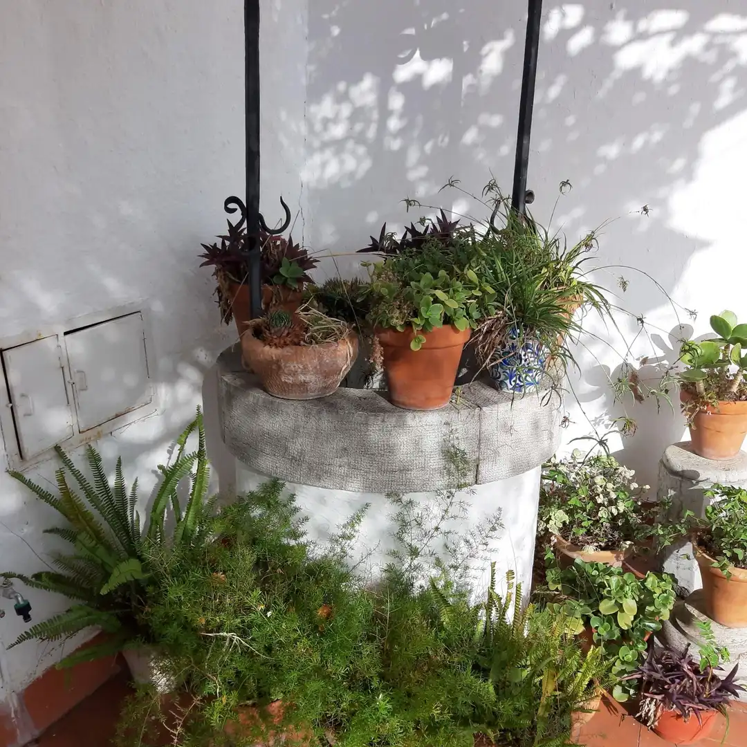 Chalet con terraza en venta en Centro, imagen 7